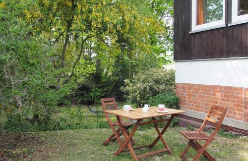 Dummer Apartment | Ferienwohnung am Dümmer See