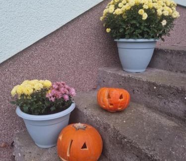 Garz/Rugen Apartment | Ferienwohnung am grünen Haus