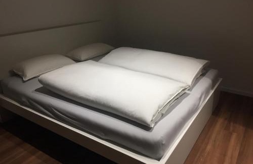City Centre Regensburg Apartment | Ferienwohnung am Herzogspark