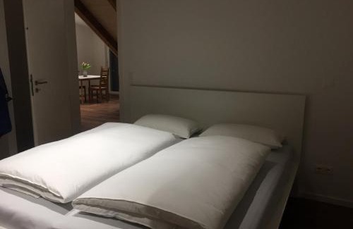 City Centre Regensburg Apartment | Ferienwohnung am Herzogspark