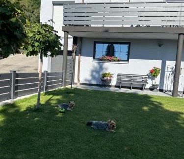 Hohenpeißenberg Apartment | Ferienwohnung am Jacobsweg