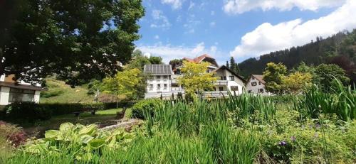 Schoenmuenzach Apartment | Ferienwohnung am Kurpark