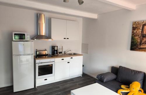 Triebischtal Apartment | Ferienwohnung am Mühlbach