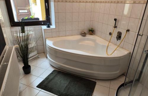 Triebischtal Apartment | Ferienwohnung am Mühlbach