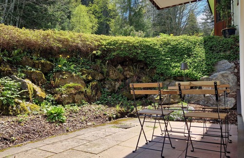 Hinterzarten Apartment | Ferienwohnung am Mehlberg - Hinterzarten
