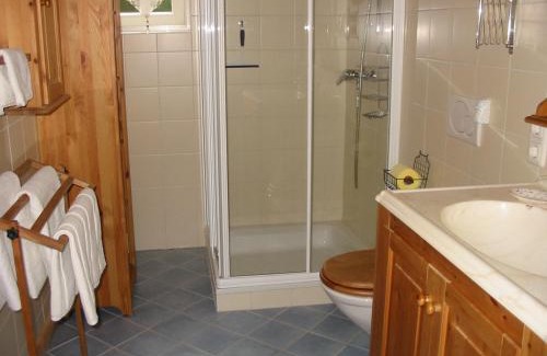 Ebensee Apartment | Ferienwohnung Am Pflanzgarten