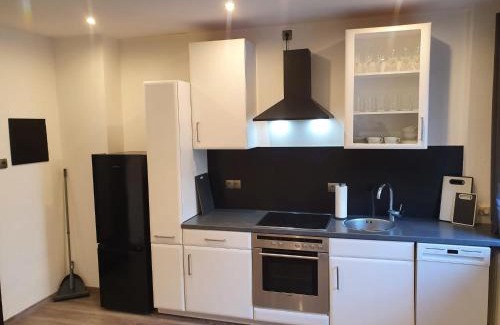 Borken Apartment | Ferienwohnung am See Dillich - Hunde willkommen - Eigener eingezäunter Garten - Ruhige Lage