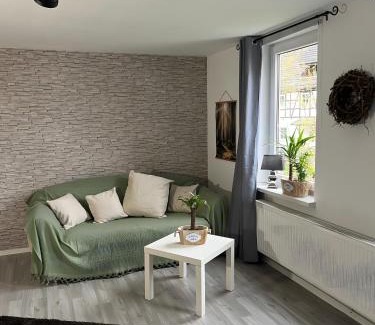 Holenberg Apartment | Ferienwohnung am Vogler