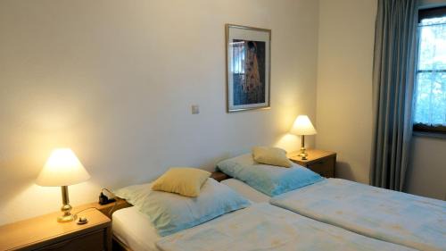 Dilsberg Apartment | Ferienwohnung Armitter