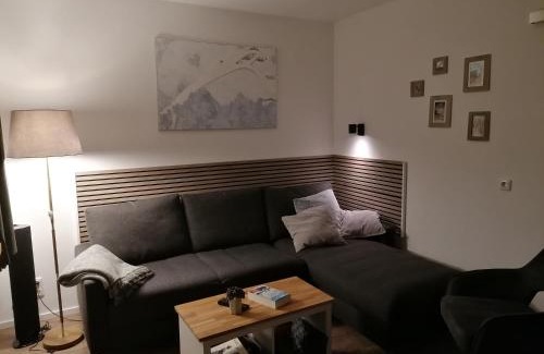 Altastenberg Apartment | Ferienwohnung Astenrefugio