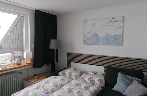 Altastenberg Apartment | Ferienwohnung Astenrefugio