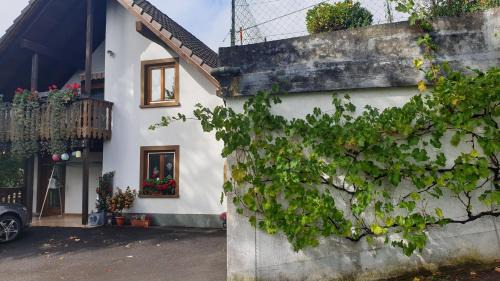 Wambach Apartment | Ferienwohnung auf dem Bückle