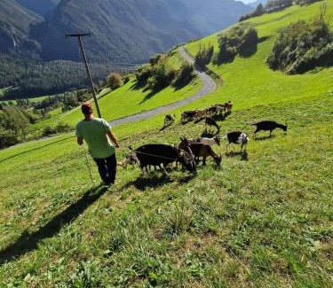 Albula-Alvra Apartment | Ferienwohnung auf Ziegenhof