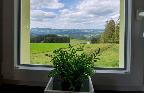 Breitnau Apartment | Ferienwohnung Bäuerlesstüble, 40qm, 1 Schlafzimmer, Max. 3 Personen