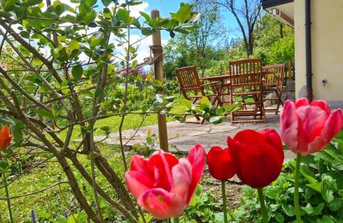 Aschau im Chiemgau Apartment | Ferienwohnung Berglust