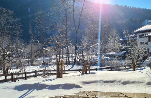 Aschau im Chiemgau Apartment | Ferienwohnung Berglust