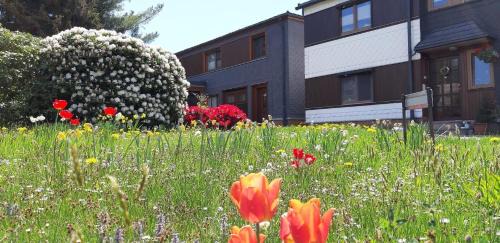 Meuselbach Apartment | Ferienwohnung Berndt