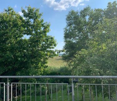 Ober-Ramstadt Apartment | Ferienwohnung Blick ins Grüne