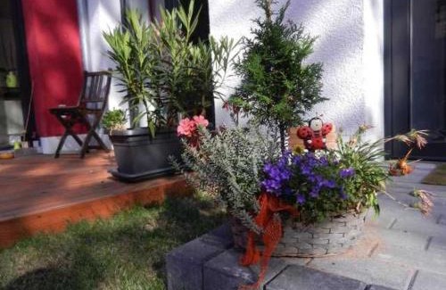 Andreasvorstadt Apartment | Ferienwohnung Blumenstraße 81