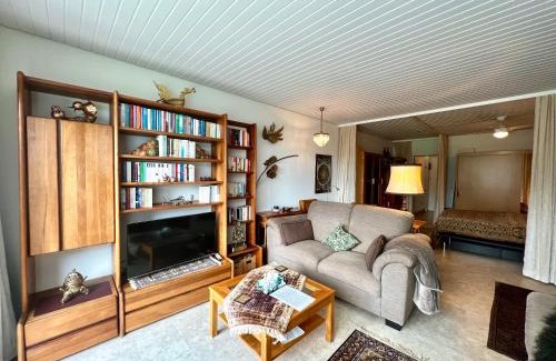 Schwarzenbach Apartment | Ferienwohnung Brigitte