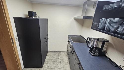 Bad Klosterlausnitz Apartment | Ferienwohnung am Schwanenteich