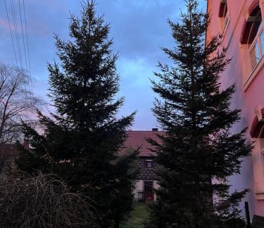 Eibau Apartment | Ferienwohnung