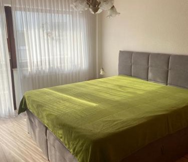 Mainz-Bingen Apartment | Ferienwohnung Elli
