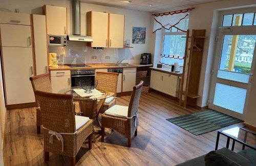 Bad Elster Apartment | Ferienwohnung Elsterveilchen 100 m bis zur Soletherme und Theater