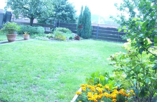 Grenzach-Wyhlen Apartment | Ferienwohnung Erika