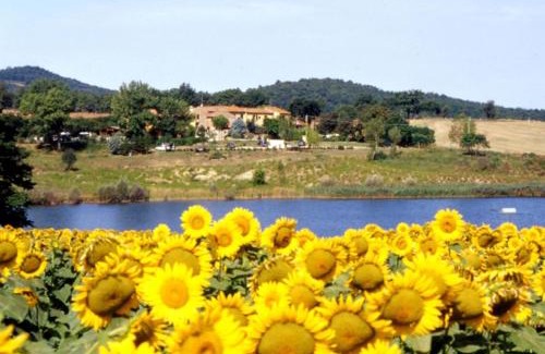 Casole d'Elsa Apartment | Ferienwohnung für 4 Personen 1 Kind ca 80 qm in Pievescola, Toskana Provinz Siena