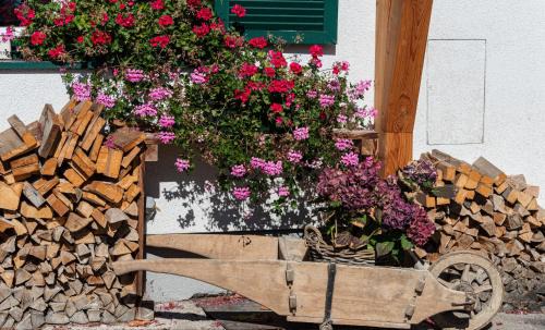 Altaussee Apartment | Ferienwohnung Flora Altaussee - Your Austrian Home