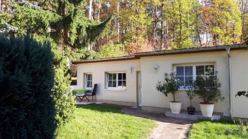 Kurort Gohrisch Apartment | Ferienwohnung Frenzel