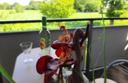 Friesoythe Apartment | Ferienwohnung Friesoythe mit Ausblick