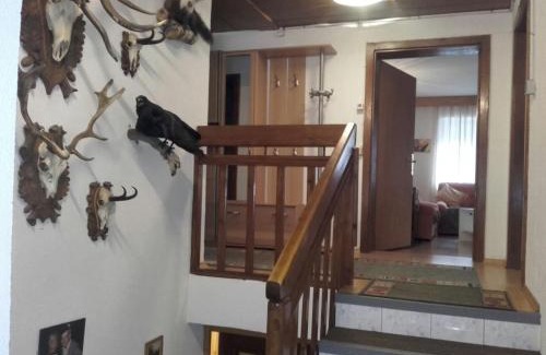 Laengenfeld Apartment | Ferienwohnung Frischmann