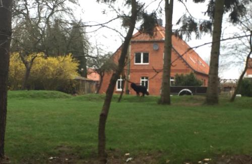 Boltersen Apartment | Ferienwohnung Garten Eben