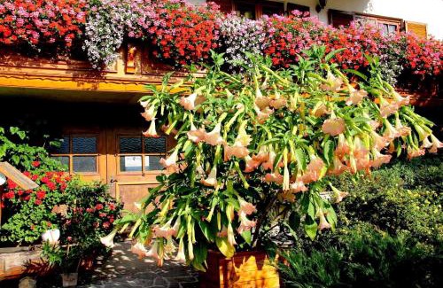 Tuernitz Apartment | Ferienwohnung Högerblick In Türnitz