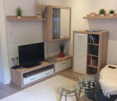 Bad Aussee Apartment | Ferienwohnung Haas
