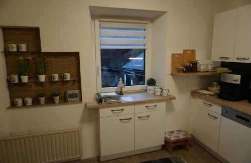 Bad Aussee Apartment | Ferienwohnung Haas