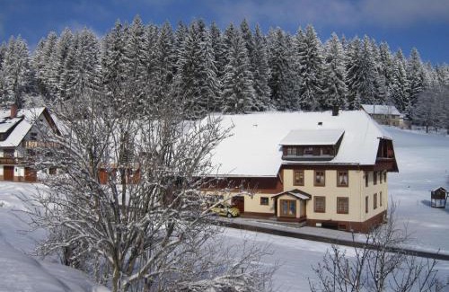 Grafenhausen Apartment | Ferienwohnung Haus Brunner