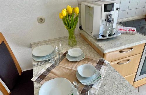 Geyer Apartment | Ferienwohnung Haus Feig
