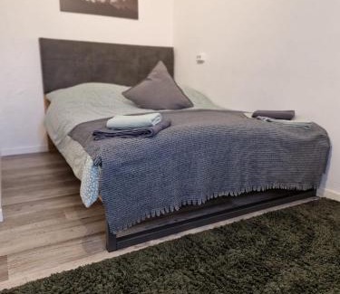 Hallenberg Apartment | Ferienwohnung Hof Wehlenbach