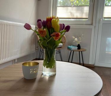 Albertsdorf Apartment | Ferienwohnung-in-Strandnaehe-Schwalbennest-2