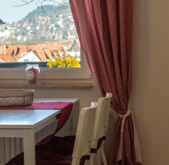Wenigenjena Apartment | Ferienwohnung Jenzigblick