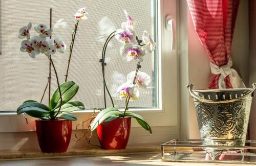 Wenigenjena Apartment | Ferienwohnung Jenzigblick