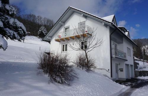 Zenting Apartment | Ferienwohnung Jobst Daxstein