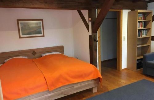 Ziethen Apartment | Ferienwohnung Kastanienblick