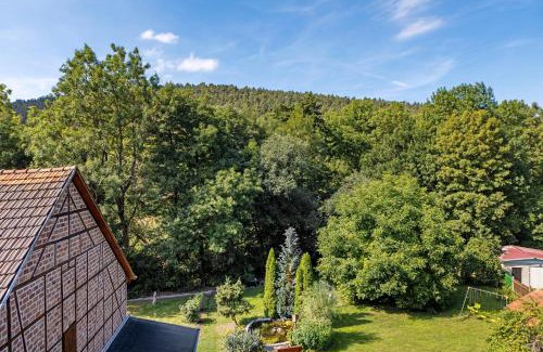 Plaue Apartment | Ferienwohnung Kleinbreitenbach 2