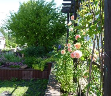 Zinnwald-Georgenfeld Apartment | Ferienwohnung-Kubis