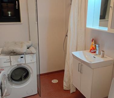 Vislanda Apartment | Ferienwohnung Lakeland Åäng 6