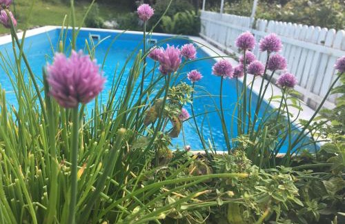 Gendorf Apartment | Ferienwohnung Lebenslust Frauen Gasser